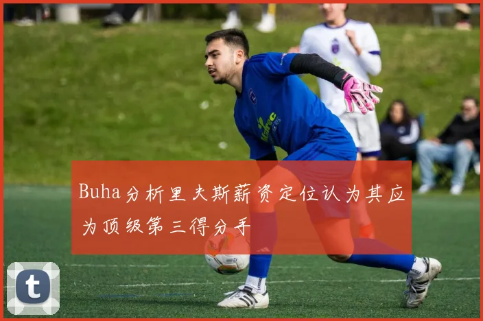 Buha分析里夫斯薪资定位认为其应为顶级第三得分手